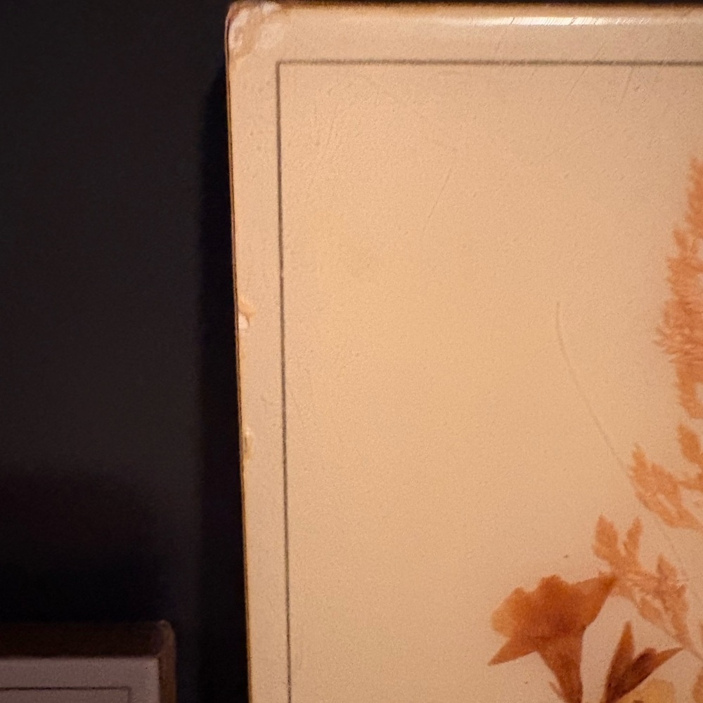 Set of 3 Vintage Framed Botanical Wall Plaque - Cream - Picture 10 of 11